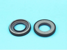 Cummins NT855 N14 M11 L10 K19 K38 Seal 3075523 for Fuel Pump Main Shaft